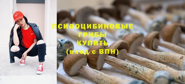 тгк Абинск