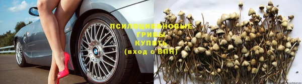тгк Абинск