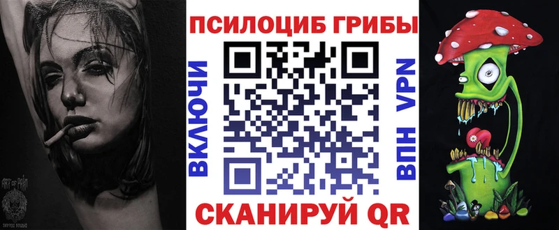 Галлюциногенные грибы Psilocybe  Нахабино 